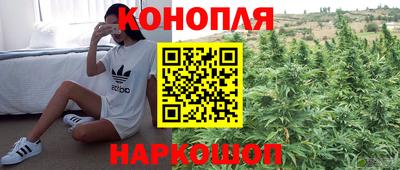 мяу мяу мука Кунгур