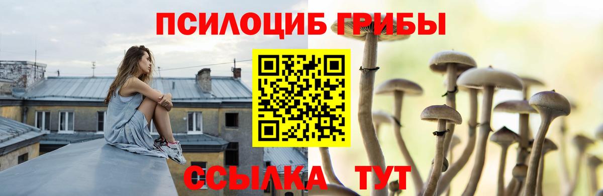 Галлюциногенные грибы ЛСД  Галлюциногенные грибы Psilocybine cubensis  Кизилюрт  Вход с VPN 